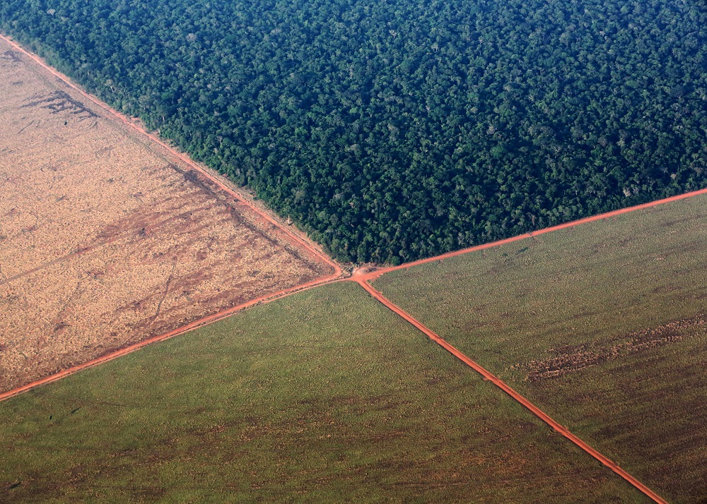 The Amazon rain forest (top), bordered by deforested land prepared for the planting of soybeans, in pictured in this aerial photo taken over Mato Grosso state in western Brazil, October 4, 2015. u00e2u20acu201d Reuters pic    