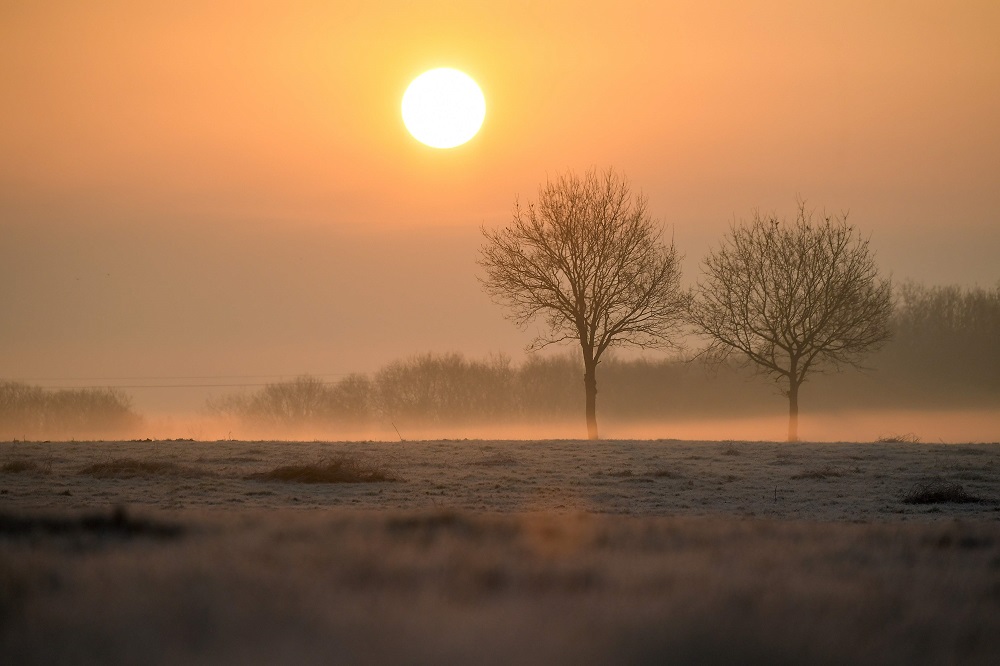 The sun rises over the frozen countryside in Lavau-sur-Loire, western France January 21, 2019. u00e2u20acu2022 AFP pic  