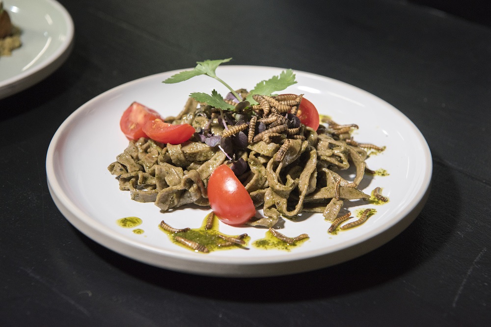 A dish of Basil Pesto Taglietelle, made with ground Black Soldier Fly larvae, and garnished with Mealworms, at Gourmet Grubb, a food stand run by chef Mario Barnard specialising in using insects in cuisine, in Cape Town July 17, 2019. u00e2u20acu201d AFP pic      