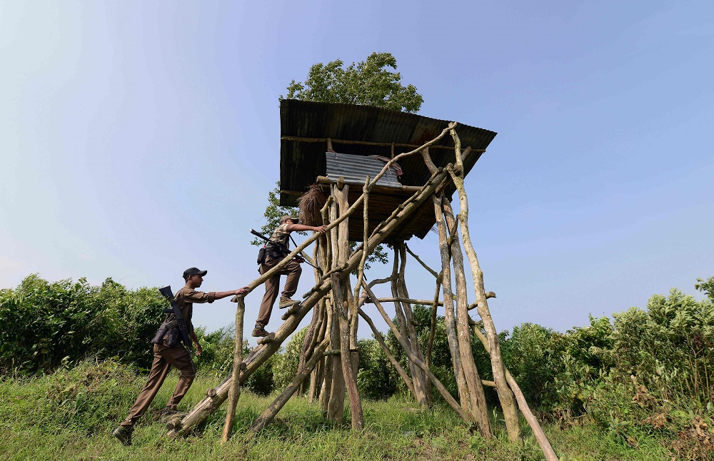 In this photo taken on June 18, 2019, Indian forest guards climb a temporary surveillance tower in Kaziranga National Park, some 220km from Guwahati, the capital city of India’s northeastern state of Assam. — AFP pic