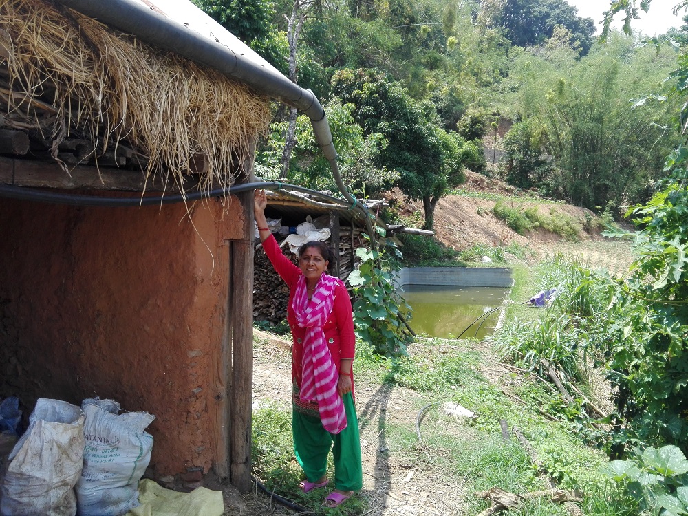 Farmer Kamala Ghimire works near her concrete-lined water storage pond in Madanpokhara, Nepal June 8, 2019. u00e2u20acu201d Thomson Reuters Foundation pic