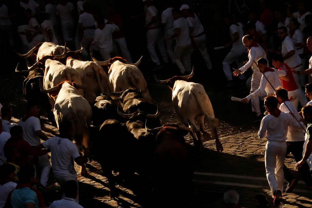Revellers sprint near bulls and steers during the running of the bulls at the San Fermin festival in Pamplona, Spain July 11, 2019. u00e2u20acu2022 Reuters pic