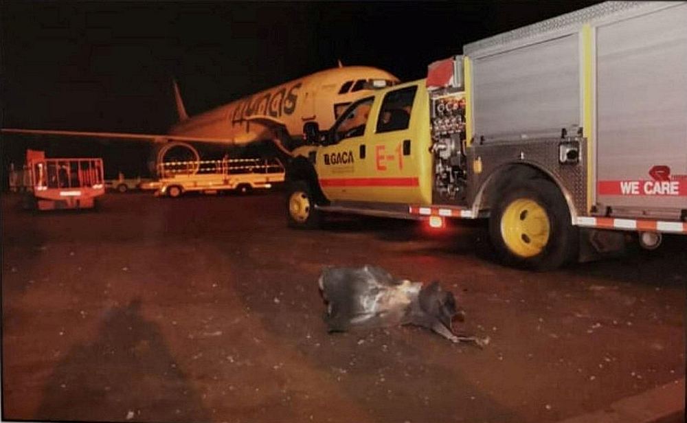 Debris seen at Saudi Arabia's Abha airport after it was attacked by Yemen's Houthi group June 12, 2019. u00e2u20acu201d Saudi Press Agency handout via Reuters