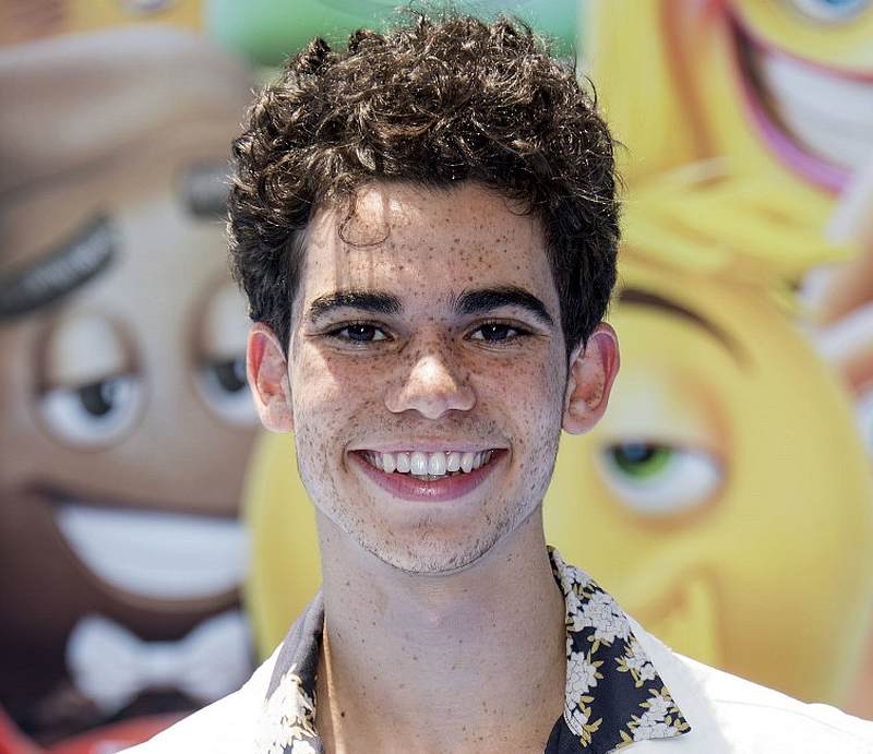 Actor Cameron Boyce attends the World Premiere of The Emoji Movie at the Regency Village Theatre in Westwood, California July 23, 2017. u00e2u20acu201d AFP pic