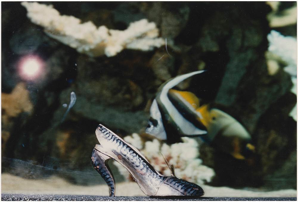 The 'Maquereau' shoe, an early Christian Louboutin design from 1987, photographed at the tropical aquarium at Paris' Palais de la Porte Doree in 1988. u00e2u20acu201d Picture courtesy of Christian Louboutin via AFP