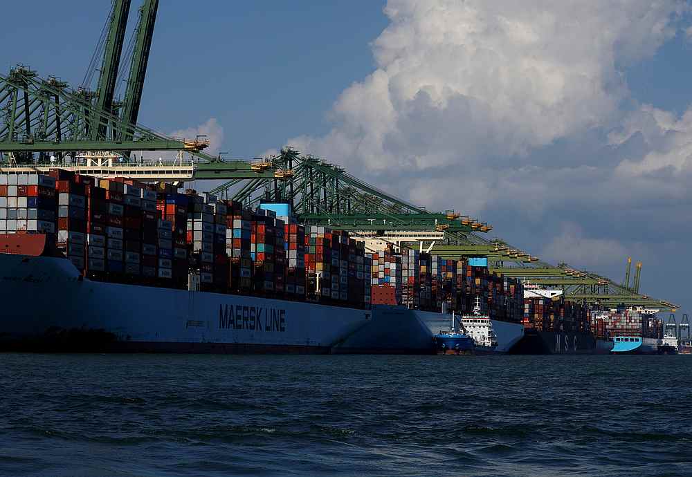 Container ships line up the berths at PSA's Pasir Panjang Terminal in Singapore July 15, 2019. u00e2u20acu201d Reuters pic
