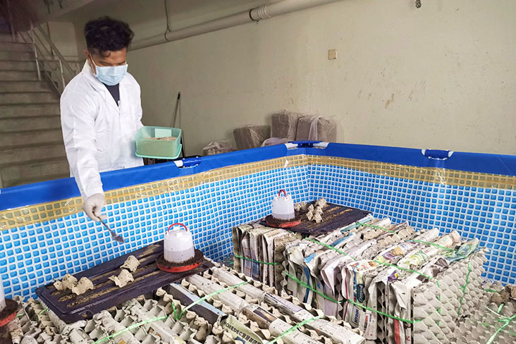 One of Ento’s production team members at its pilot farm