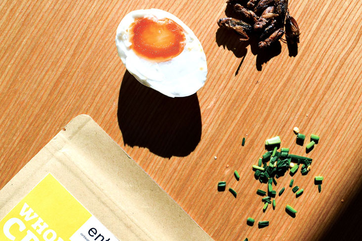 Popular and irresistible flavours such as salted egg yolk is one way of getting the public to embrace roasted crickets