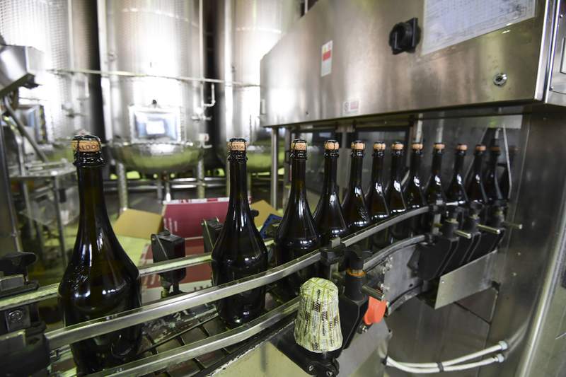 The bottling chain of the Drusian vineyard house in Valdobbiadene, in Veneto, Italy. u00e2u20acu2022 AFP pic