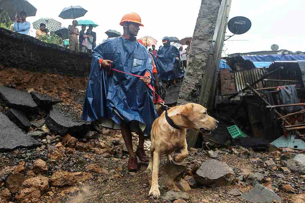 Rescue workers search for survivors under the cover of a tarpaulin after a wall collapsed on shanties due to heavy rains at a slum in Mumbai, India July 2, 2019. u00e2u20acu201d Reuters pic
