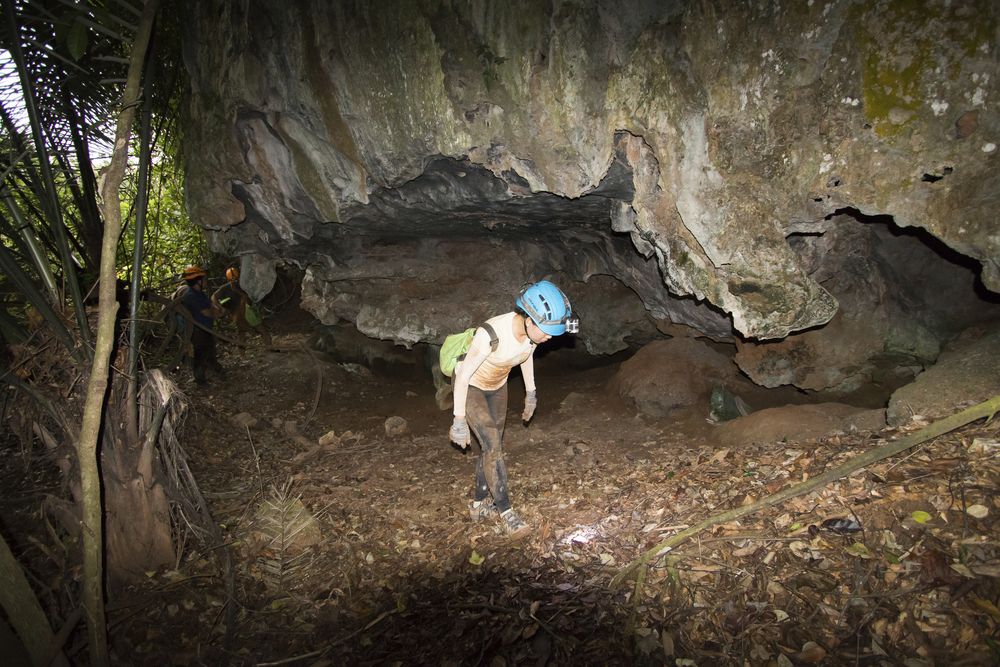 The unnamed limestone hill near Simpang Pulai, where 107 fossils dating back to ten thousand years were discovered.