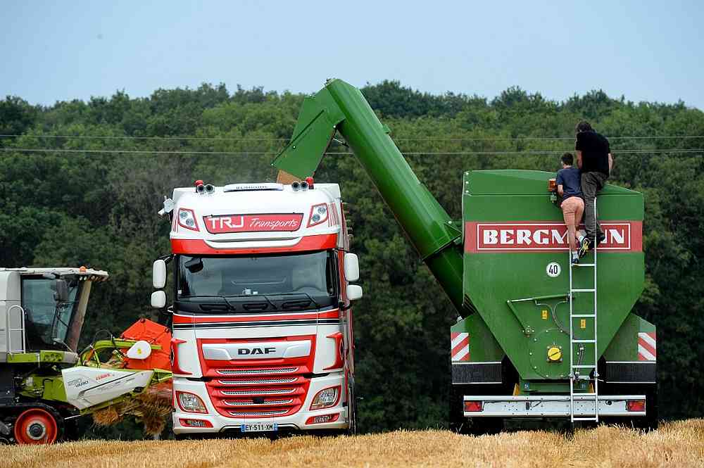 A truck trailer is filled by a grain cart of 32-ton capacity in a weat field near Thiron-Gardais, centre of France July 26, 2019. u00e2u20acu201d AFP pic