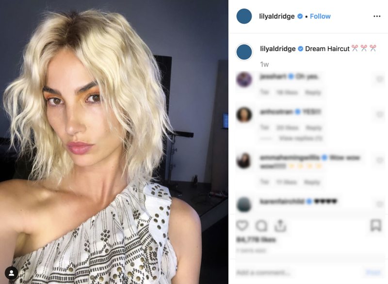 A screenshot of Lily Aldridgeu00e2u20acu2122s Instagram page.
