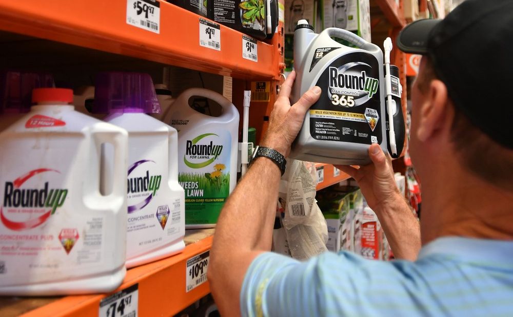 In this file photo taken on July 9, 2018, customer Gary Harms holds up a Roundup product at a store in San Rafael, California. u00e2u20acu201d AFP pic