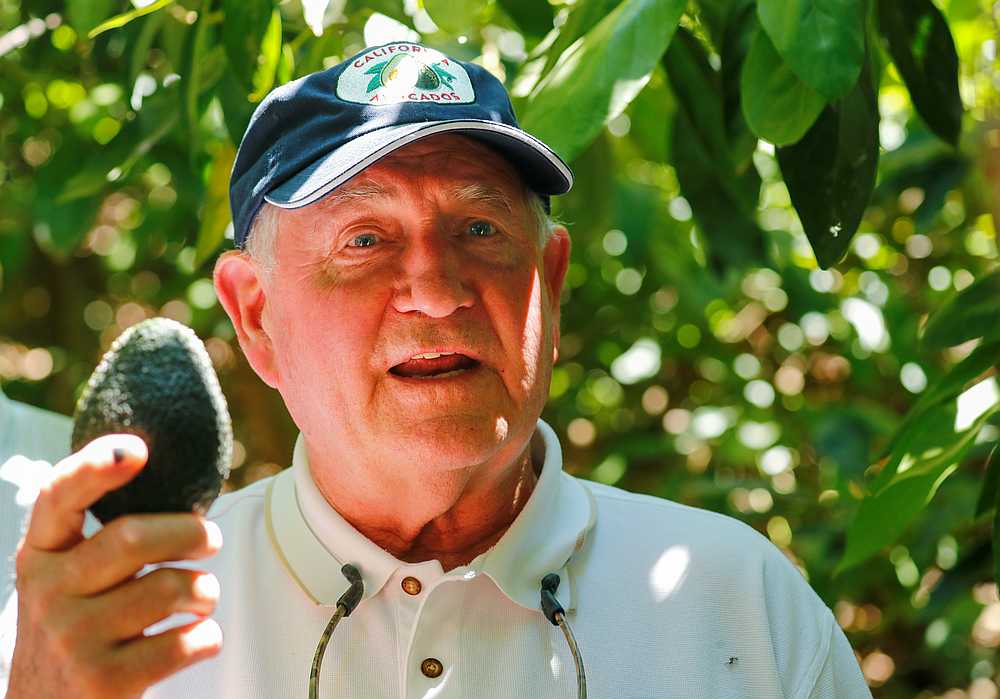 US Department of Agriculture Secretary Sonny Perdue holds up an avocado during a visit to the Rancho Guejito Avocado farm in Escondido, California July 15, 2019. u00e2u20acu201d Reuters pic