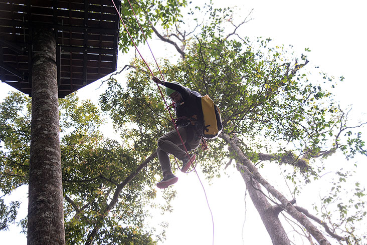 Experience the rainforest from above by zipping from tree to tree at the 'Flight of The Colugo.'