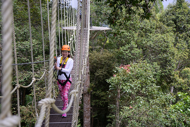 A 23-metre rope bridge connecting two of the platforms.