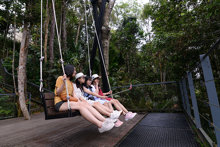 After the zip line experience, you can take a slow stroll back to the first platform and even take a breather on one of the large swings there.