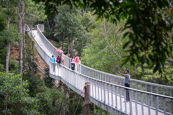 The Langur Way Canopy Walk in The Habitat.