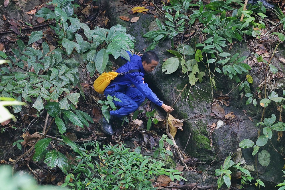 A member of a rescue team continues to search for the missing 15-year-old Franco-Irish teenager Nora Anne Quoirin near The Dusun resort in Seremban August 10, 2019. — Picture by Ahmad Zamzahuri