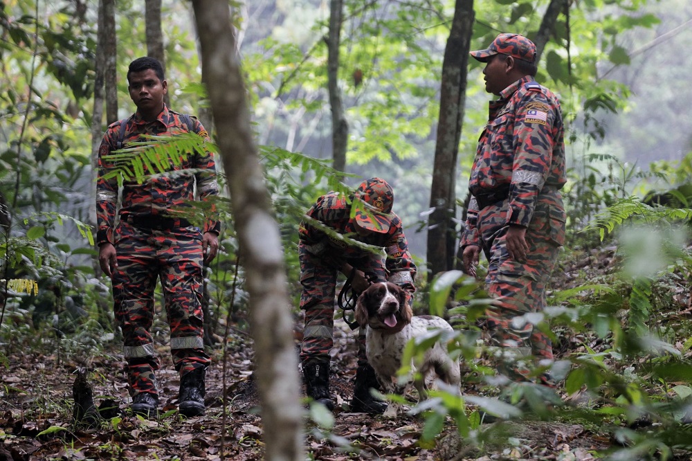File photo showing the Fire and Rescue K9 unit in action during the search and rescue operation for missing Irish teenager Nora Anne Quoirin near The Dusun resort in Seremban August 10, 2019. — Picture by Ahmad Zamzahuri