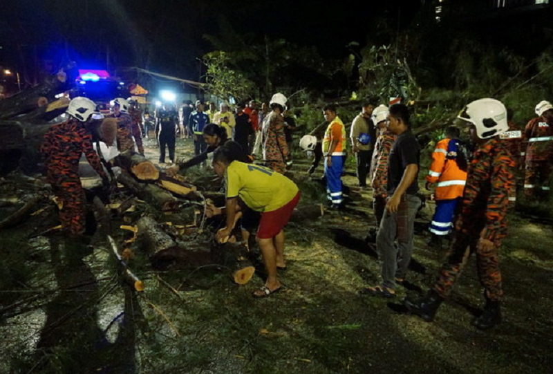Kedah Fire and Rescue Department personnel clearing fallen trees due to a storm last night. u00e2u20acu201d Picture via Twitter/Bernamadotcom 