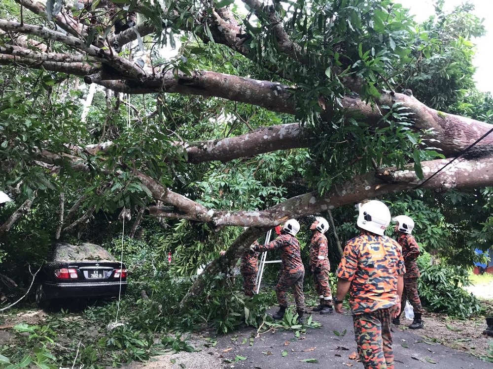 Strong winds and thunderstorm which began at 8pm had caused damage to business premises and private properties and uprooted trees in numerous locations in Langkawi. u00e2u20acu201d Picture via Twitter/Bernamadotcom
