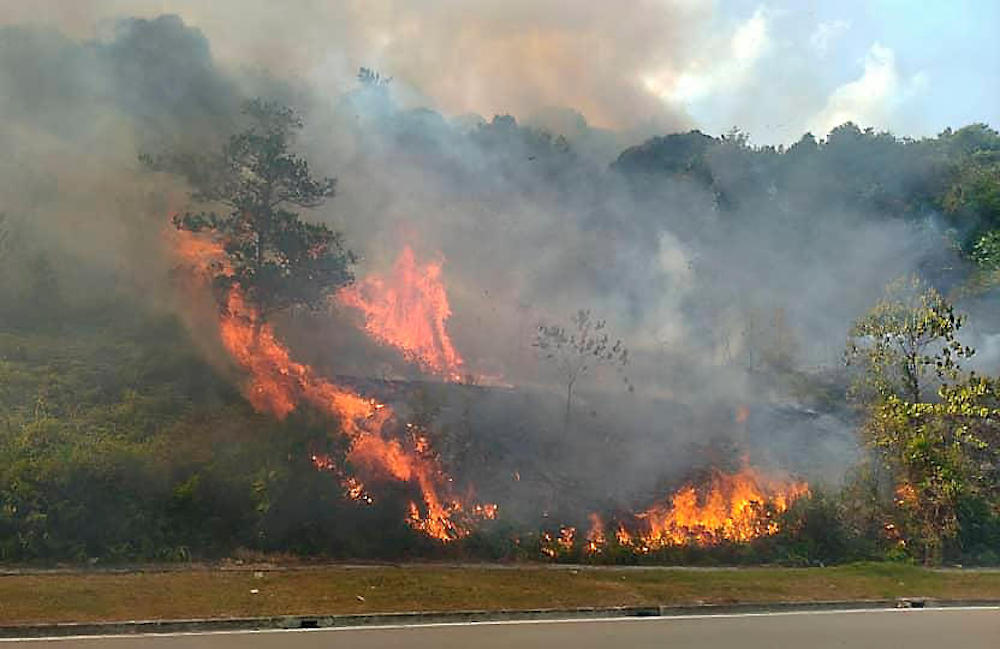 Johor Fire and Rescue Department personnel put out a forest fire near Legoland at Iskandar Puteri Augut 24, 2019. u00e2u20acu201d Bernama pic