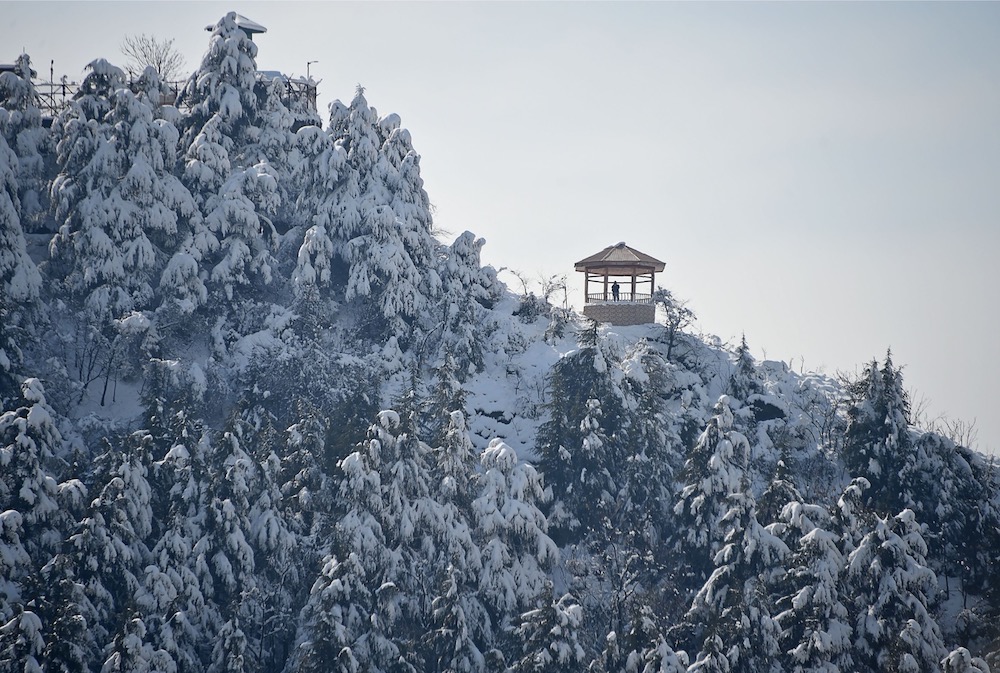 A tourist looks on from the top of a snow-covered mountain after a heavy snowfall in Srinagar February 8, 2019. u00e2u20acu201d AFP pic