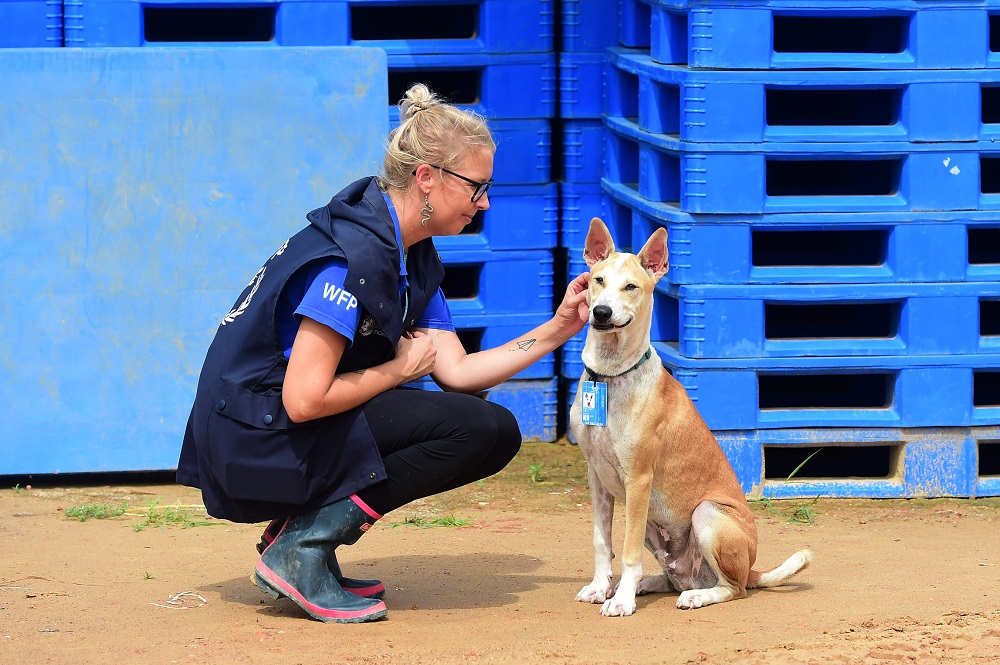 In this picture taken on July 23, 2019, World Food Programme official Gemma Snowdon interacts with Foxtrot, a dog with the WFP K9 unit, in the Kutupalong camp for Rohingya refugees in southern Bangladesh. u00e2u20acu201d AFP pic          