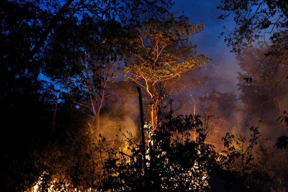 A tract of Amazon jungle burning as it is being cleared by loggers and farmers in Canarana, Mato Grosso state, Brazil August 26, 2019. u00e2u20acu2022 Reuters pic 