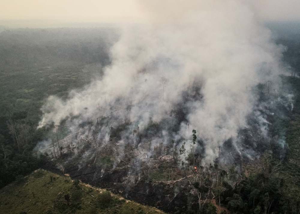 An aerial view of a tract of the Amazon jungle burning as it is being cleared by loggers and farmers in Porto Velho, Rondonia State, Brazil, is pictured in this August 23, 2019 picture taken with a drone. u00e2u20acu2022 Reuters pic
