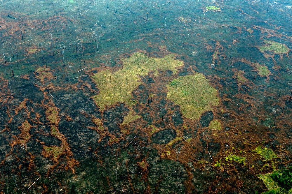 Aerial view of burnt areas of the Amazon rainforest, near Boca do Acre, Amazonas state, Brazil, in the Amazon basin August 24, 2019. u00e2u20acu201d AFP pic  