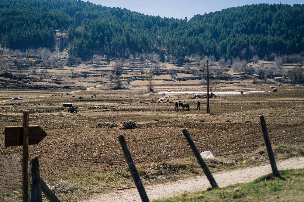 This picture taken on March 23, 2019, shows a Bulgarian farmer working on the field near the village of Brashten. u00e2u20acu201d AFP pic           