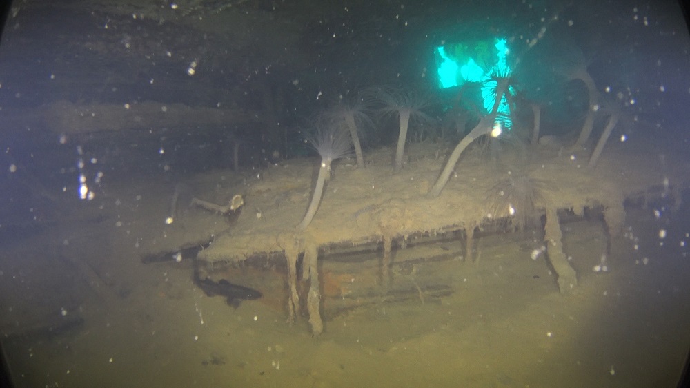 This handout image obtained August 28, 2019 shows silt and sea anemones partly covering a cabin of Captin Francis Crozier on the HMS Terror wreck, underwater in Terror Bay, off King William Island, Nunavut. u00e2u20acu201d Parks Canada Agency/Ryan Harris/AFP pic