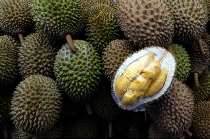 No scientific evidence has been found to show that durian and alcohol is a lethal combination. u00e2u20acu201d AFP pic