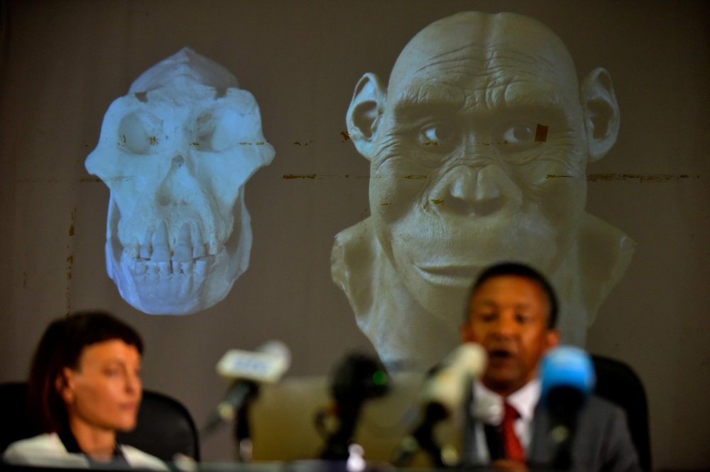 Ethiopian paleoanthropologist of the Cleveland Museum of Natural History, Yohannes Haile-Selassie (right) and Stephanie Melillo of the Max Planck Institute for Evolutionary Anthropology in Germany address a press conference in Addis Ababa on August 28, 2019 during the presentation of a 3.8 million-year-old skull of an early human, known as ‘MRD’ and belonging to the species Australopithecus anamensis, displayed in the background (left) alongside a partial facial reconstruction. — AFP pic