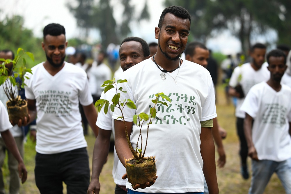 Young Ethiopians take part in a national tree-planting drive in the capital Addis Ababa. u00e2u20acu201d AFP pic       