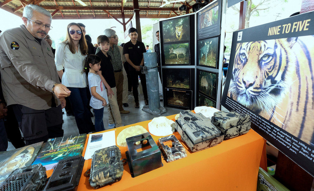 Raja Permaisuri Perak Tuanku Zara Salim is briefed by Perak State Parks Corporation general manager Mohamed Shah Redza Hussein during International Tiger Day celebrations in Gerik August 3, 2019. u00e2u20acu201d Bernama pic