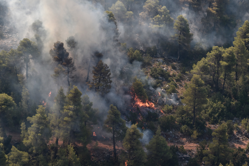 Fire burns forest near Stavros village on the island of Evia, northeast of Athens, August 14, 2019. u00e2u20acu201d AFP picnn