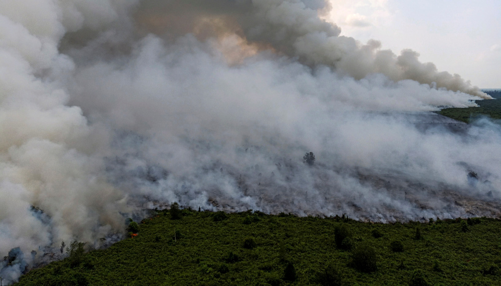 Smoke billows during a land fire in Musi Banyuasin near Palembang, South Sumatra province, Indonesia, August 14, 2019 in this photo taken by Antara Foto. u00e2u20acu201d Picture from Antara Foto/Nathan via Reuters  