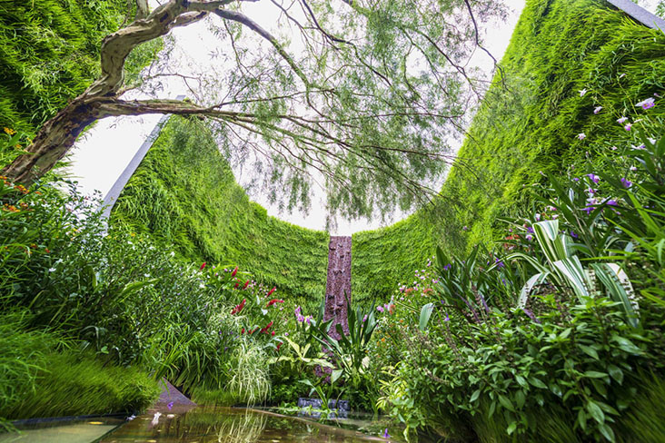 'The Treasure Box' at the Singapore Garden Festival 2016