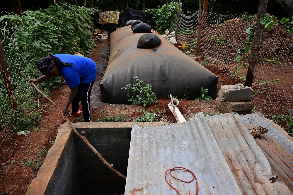 Anne Mburu stirs the slurry that runs off the adjacent flexibag biogas digester installed at her farm in Kiambu county for her domestic, in Kenya August 2, 2019. u00e2u20acu201d AFP pic         