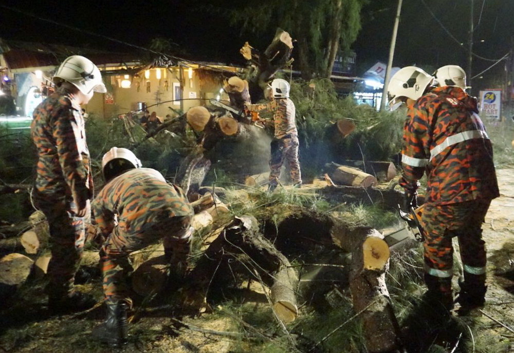 Fire and Rescue Department personnel clear fallen trees along Jalan Pantai Tengah in Langkawi August 9, 2019. — Bernama pic