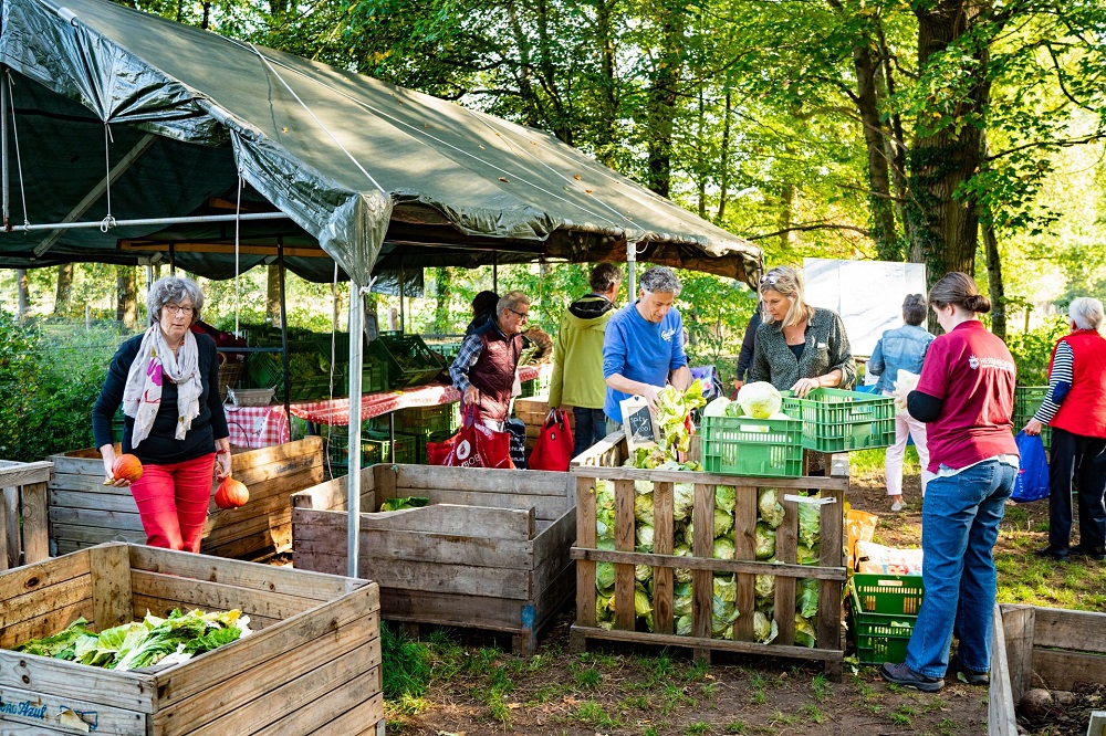This handout photo released on August 16, 2019 shows local consumers, owners and managers of the first collective farm in the Netherlands arriving to pick up their share of the harvest, fresh products in Boxtel. u00e2u20acu201d Ivar pel/Herenboeren Nederland Foundati