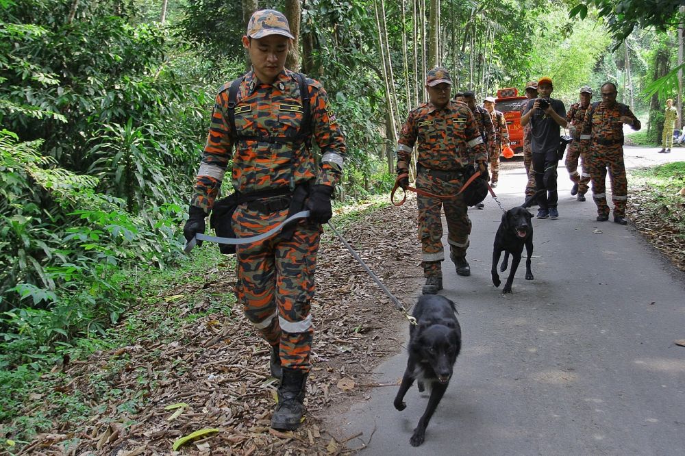 The Fire and Rescue Department deploys its K9 unit in the search for missing Irish teen Nora Anne Quoirin at The Dusun in Negri Sembilan August 7, 2019. ― Picture by Ahmad Zamzahuri