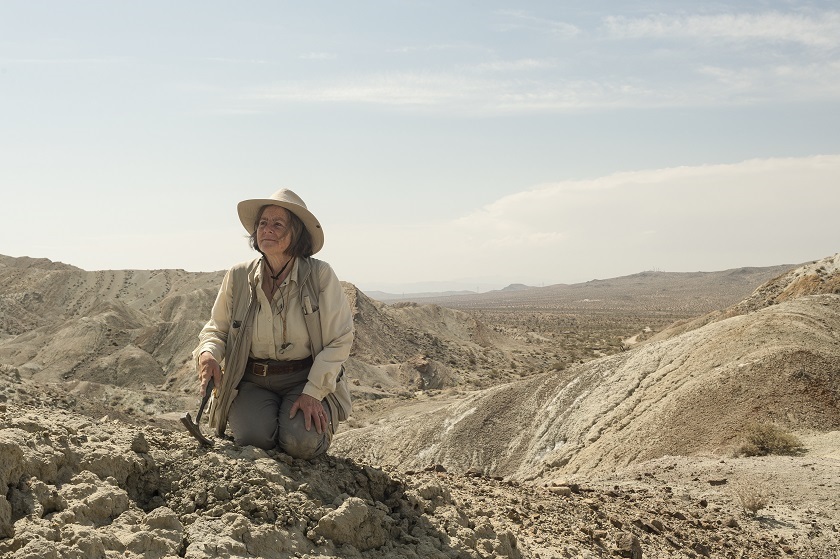 Dr Katherine Badgley looks out over her field site in the Mojave Desert in California in May 2015 for u00e2u20acu02dcThe Bearded Lady Projectu00e2u20acu2122 in this photo taken by Kelsey Vance. u00e2u20acu201d The Bearded Lady Project/Thomson Reuters Foundation pic