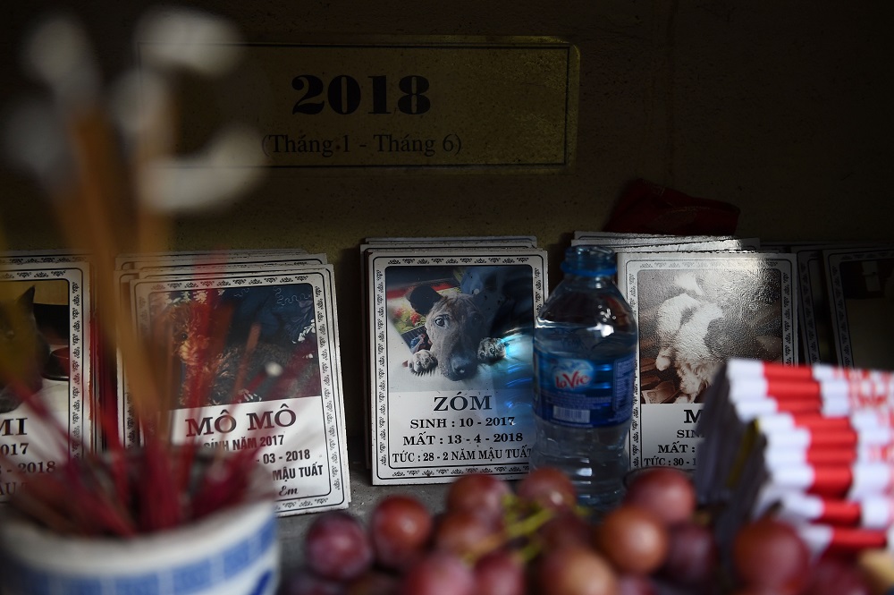 Incense and food offerings are placed in front of plaques of dogs at u00e2u20acu02dcTe Dong Vat Ngau00e2u20acu2122 pagoda, which means all lives are equal, a cemetery for pets in Hanoi August 15, 2019. u00e2u20acu201d AFP pic  