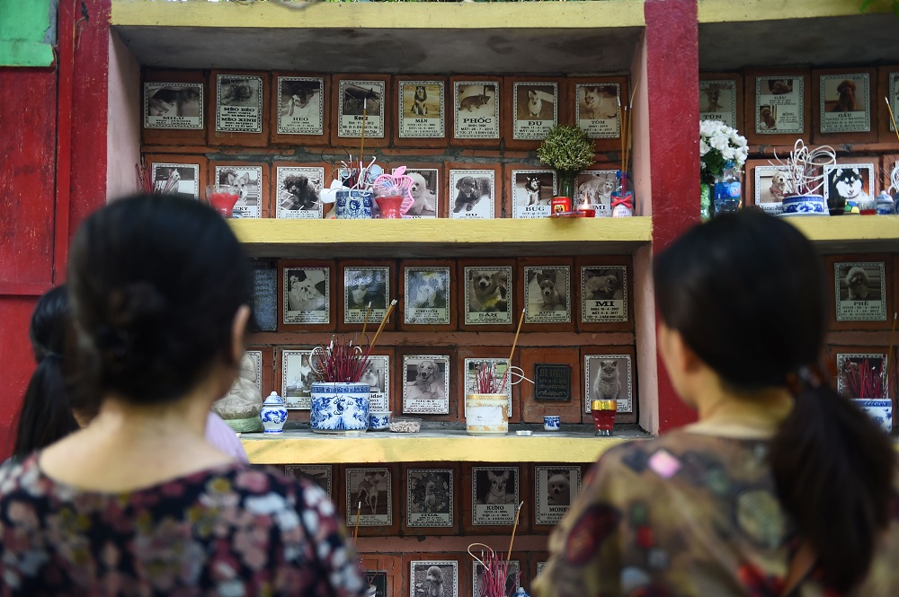 Two women stand before the plaque of their pets after placing offerings at ‘Te Dong Vat Nga’ pagoda, which means all lives are equal, a cemetery for pets in Hanoi August 15, 2019. — AFP pic  