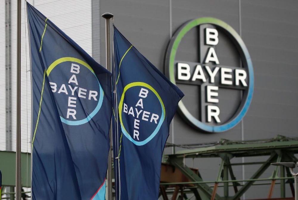 Logo and flags of Bayer AG are pictured outside a plant of the German pharmaceutical and chemical maker in Wuppertal, Germany August 9, 2019. u00e2u20acu201d Reuters pic